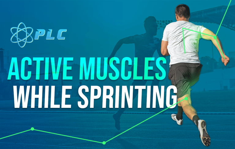 Active Muscles While Sprinting
