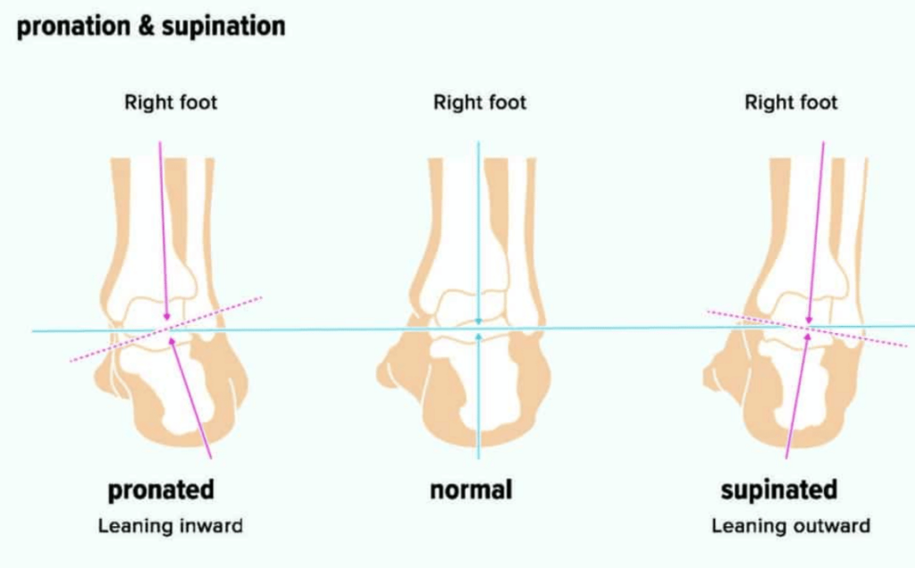 An example of pronation and supination. Notice the placement of the ankle bones compared to the toe