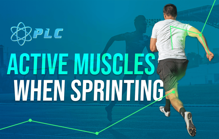 Active Muscles While Sprinting